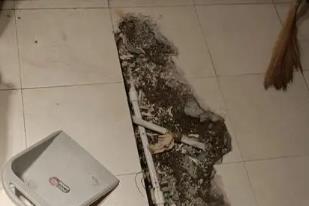 谢家集卫生间漏水检测电话